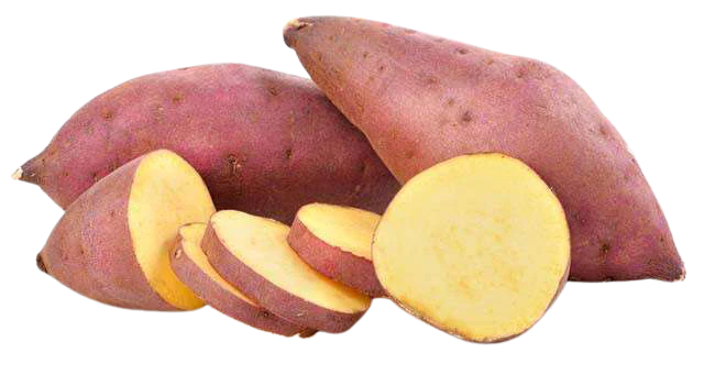 củ khoai lang